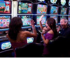 壹号平台app电脑免费版