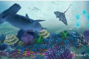 壹号平台app电脑免费版