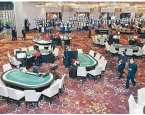 壹号平台app电脑免费版